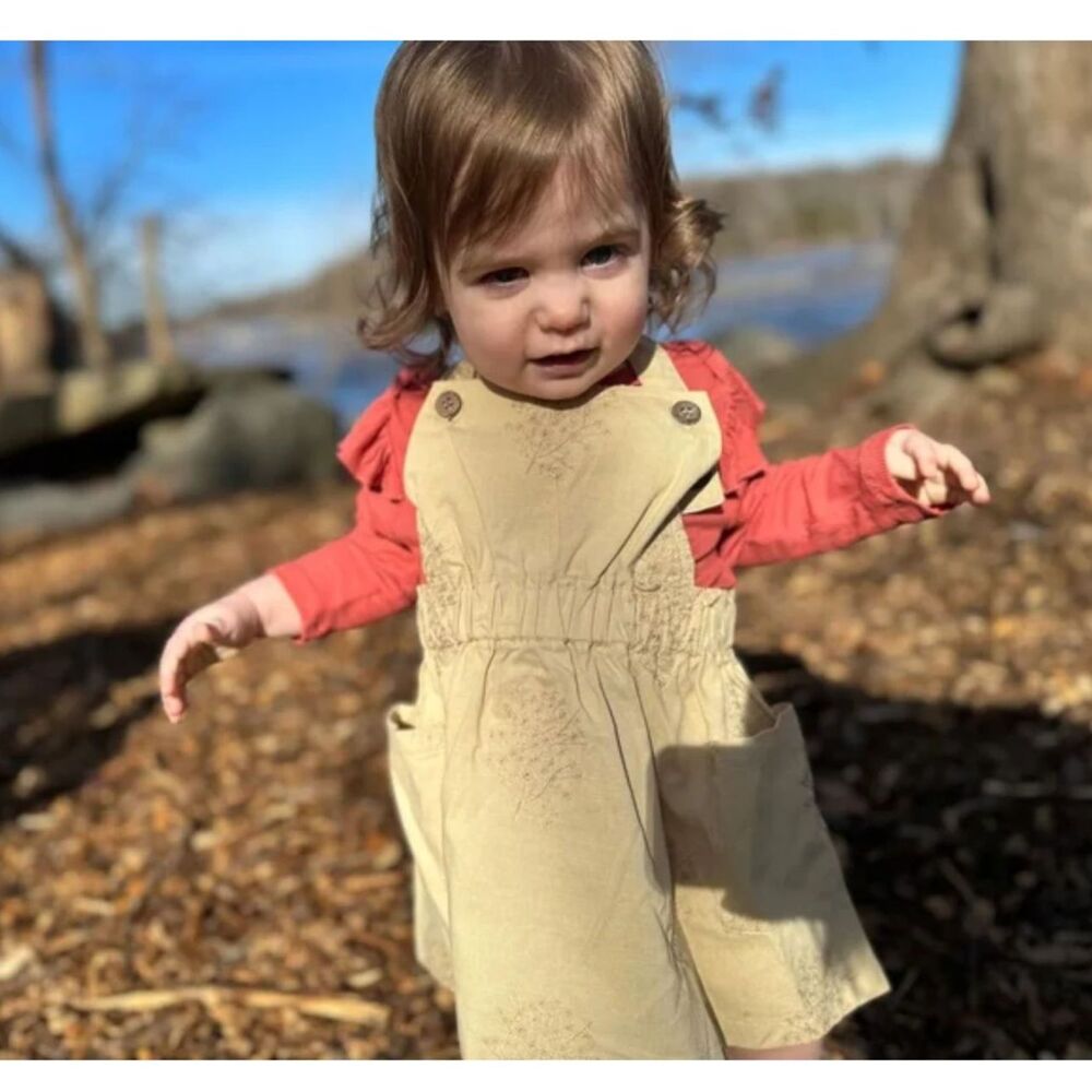 NWT Boutique Vignette Jenna Barley Dress Romper Beige, 6-9M (U1)